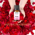 Attar Rose 10ml - From House of Shuchi Aroma
